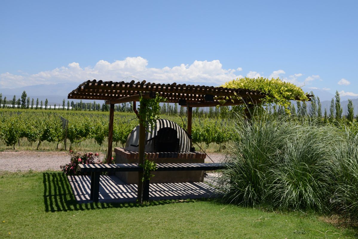 08-04 Caellum Vineyard On Our Lujan de Cuyo Wine Tour Near Mendoza